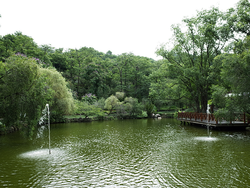 2016-07-10東勢林場013.jpg 2016-07-10東勢林場013.jpg