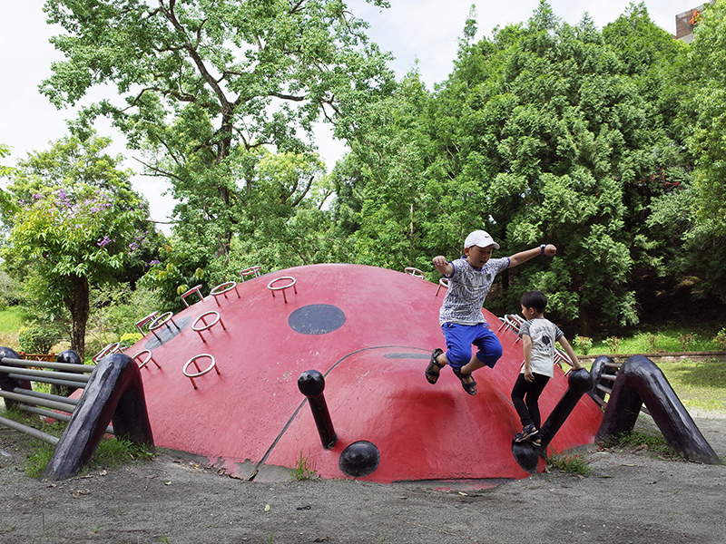 2016-07-10東勢林場023.jpg 2016-07-10東勢林場023.jpg