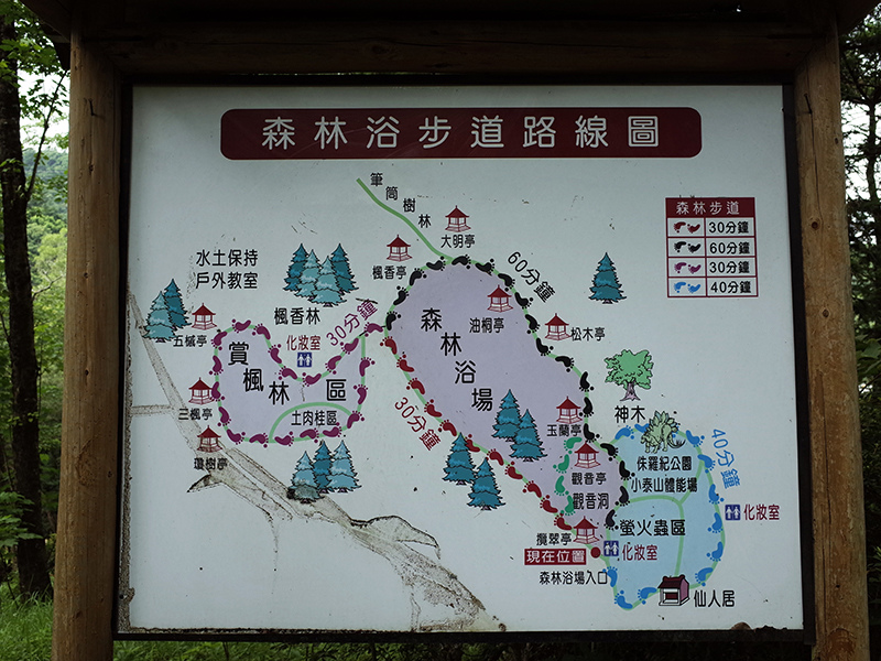 2016-07-10東勢林場041.jpg 2016-07-10東勢林場041.jpg