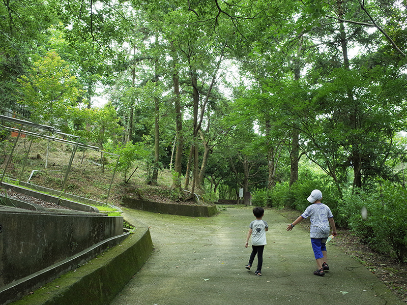 2016-07-10東勢林場044.jpg