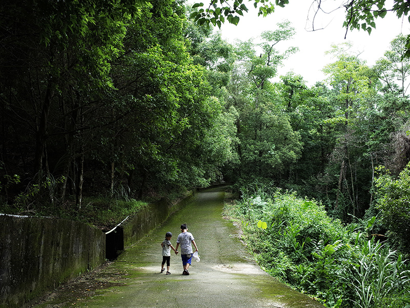 2016-07-10東勢林場051.jpg 2016-07-10東勢林場051.jpg