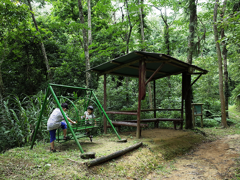 2016-07-10東勢林場061.jpg 2016-07-10東勢林場061.jpg