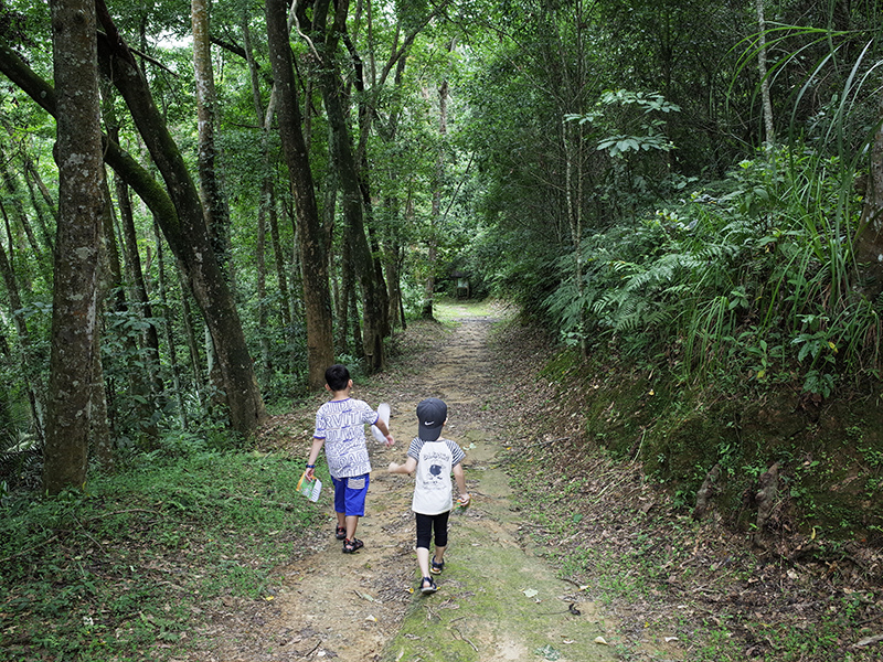 2016-07-10東勢林場062.jpg