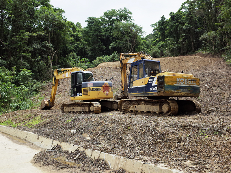 2016-07-10東勢林場064.jpg 2016-07-10東勢林場064.jpg