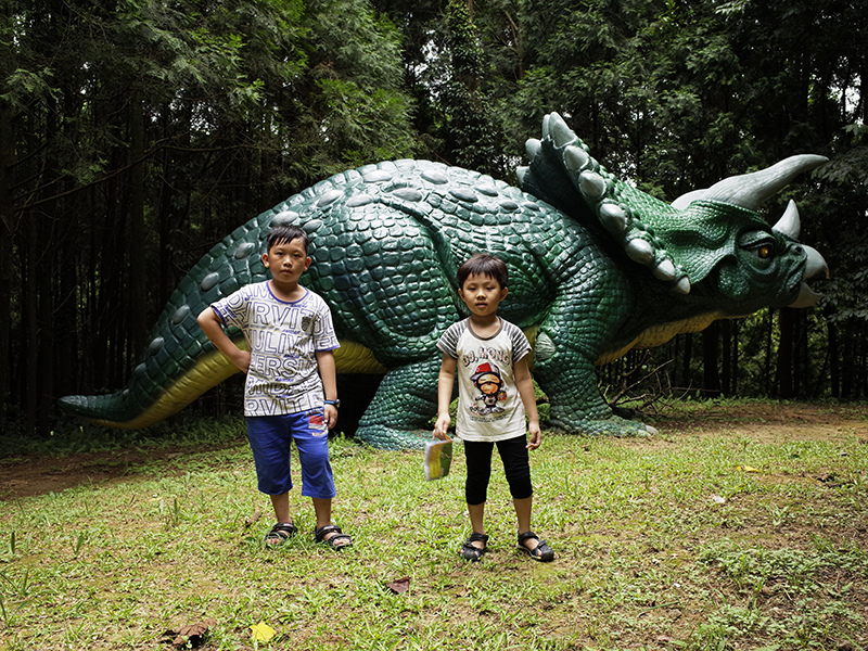 2016-07-10東勢林場071.jpg 2016-07-10東勢林場071.jpg