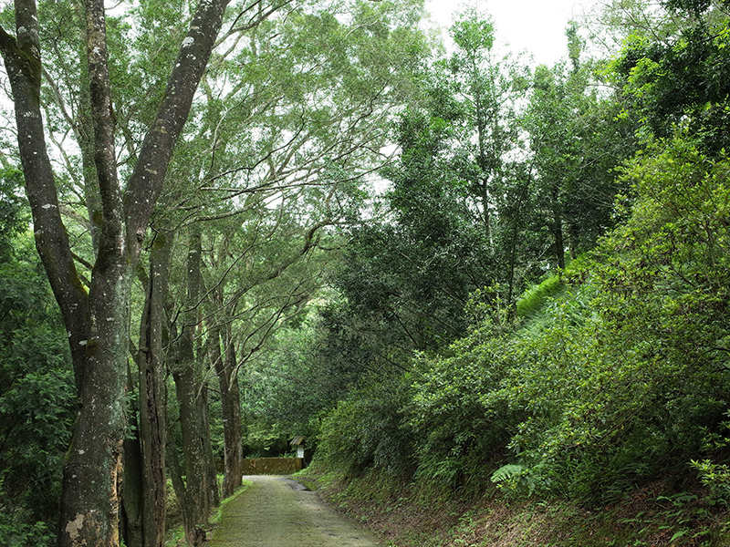 2016-07-10東勢林場070.jpg 2016-07-10東勢林場070.jpg