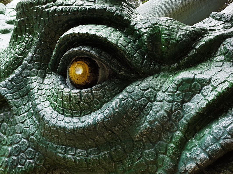 2016-07-10東勢林場073.jpg 2016-07-10東勢林場073.jpg