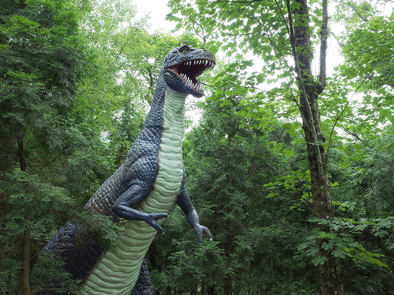 2016-07-10東勢林場081.jpg 2016-07-10東勢林場081.jpg