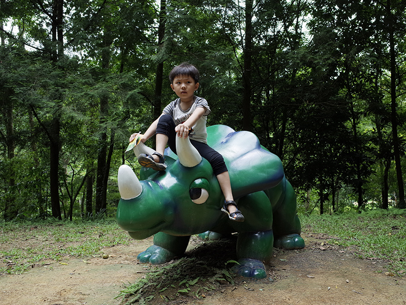 2016-07-10東勢林場087.jpg 2016-07-10東勢林場087.jpg