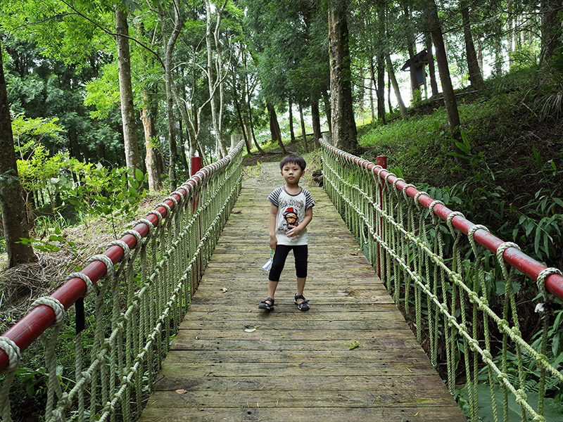 2016-07-10東勢林場089.jpg 2016-07-10東勢林場089.jpg