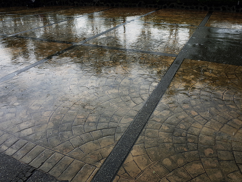 2016-07-10東勢林場097.jpg 2016-07-10東勢林場097.jpg