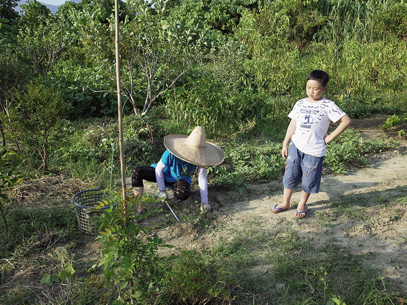 2016-07-16除草006.jpg