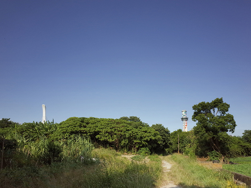 2016-08-21拔草020.jpg 2016-08-21拔草020.jpg