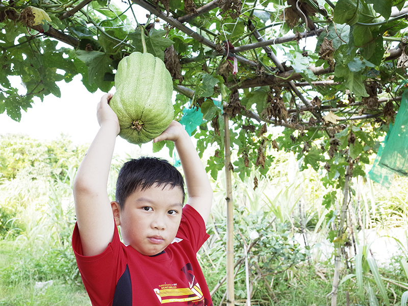 2016-08-21拔草018.jpg 2016-08-21拔草018.jpg
