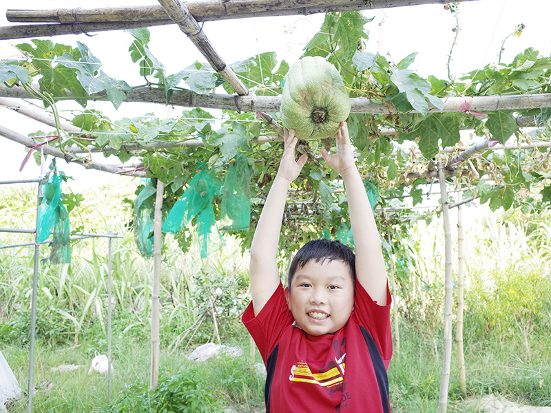 2016-08-21拔草019.jpg 2016-08-21拔草019.jpg