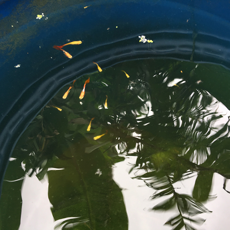 2016-10-30翻土011.jpg 2016-10-30翻土011.jpg