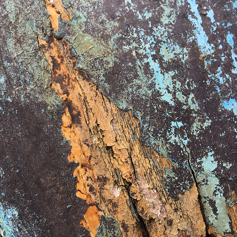 2016-10-30翻土009.jpg 2016-10-30翻土009.jpg