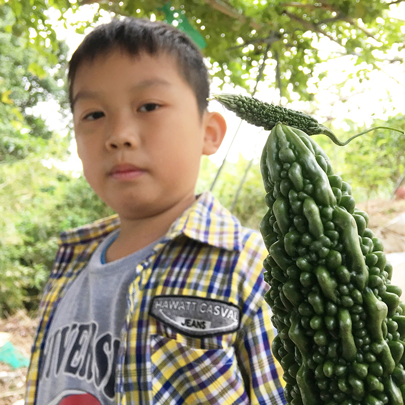 2016-10-30翻土017.jpg 2016-10-30翻土017.jpg