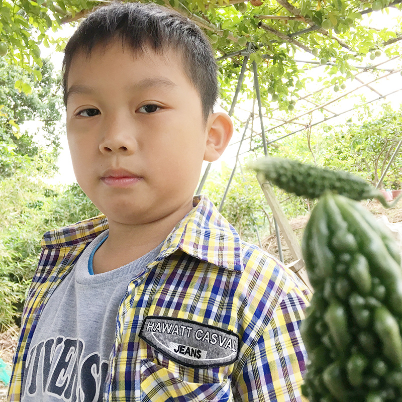 2016-10-30翻土018.jpg 2016-10-30翻土018.jpg