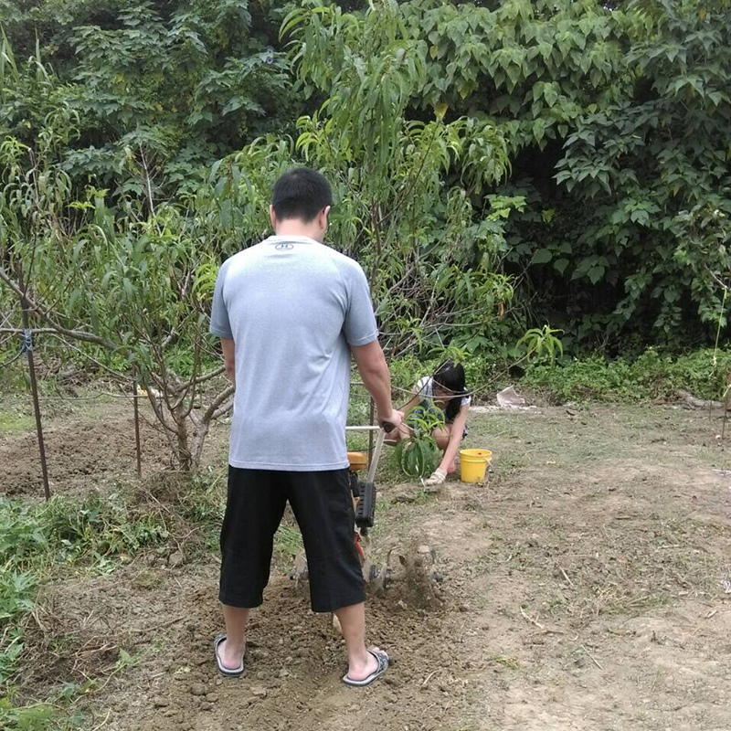 2016-10-30翻土019.jpg 2016-10-30翻土019.jpg