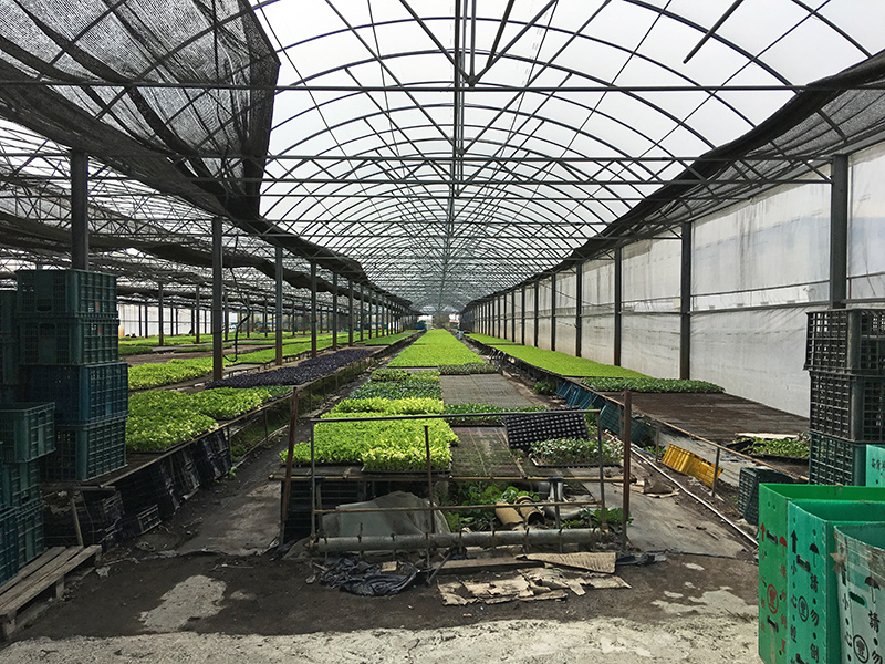 2017-01-31初四001.jpg 2017-01-31初四001.jpg