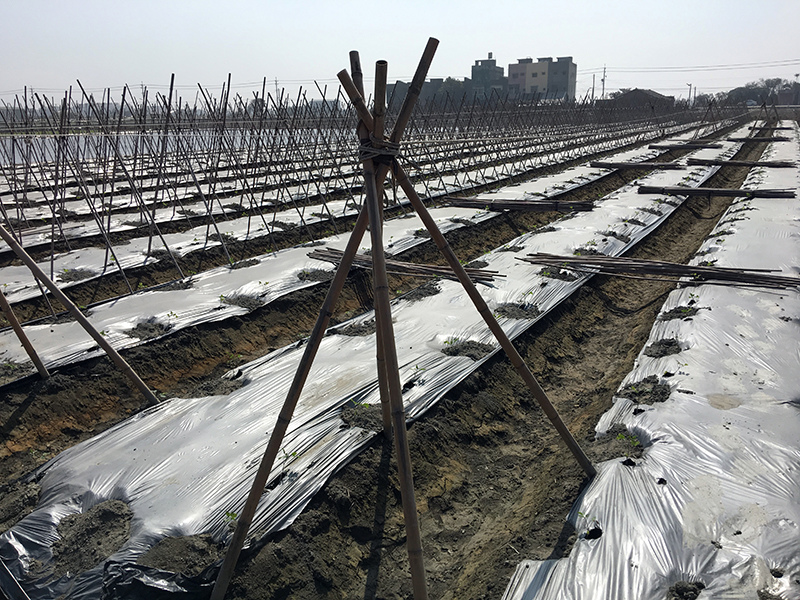 2017-01-30初三001.jpg 2017-01-30初三001.jpg