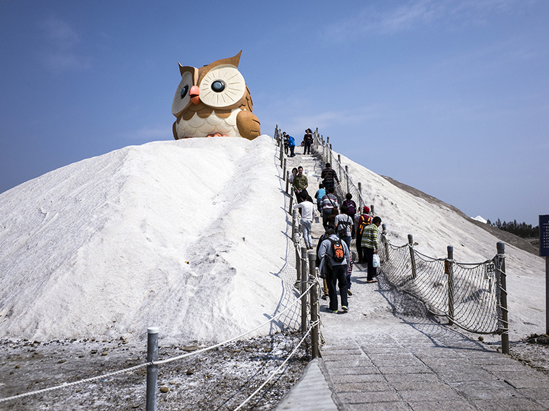 2017-02-27七股鹽山051.jpg 2017-02-27七股鹽山051.jpg