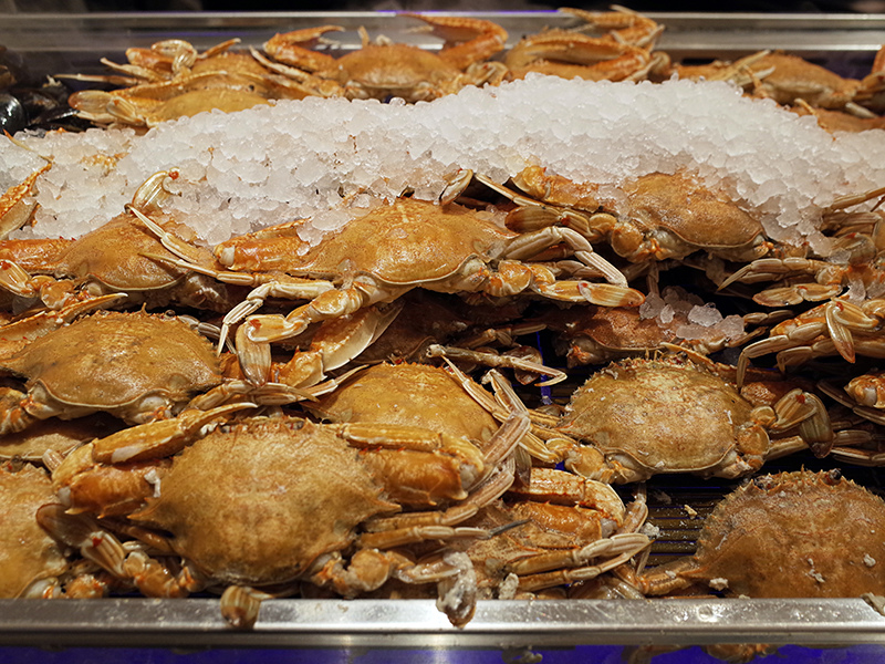 2017-03-08漢來漁港008.jpg 2017-03-08漢來漁港008.jpg