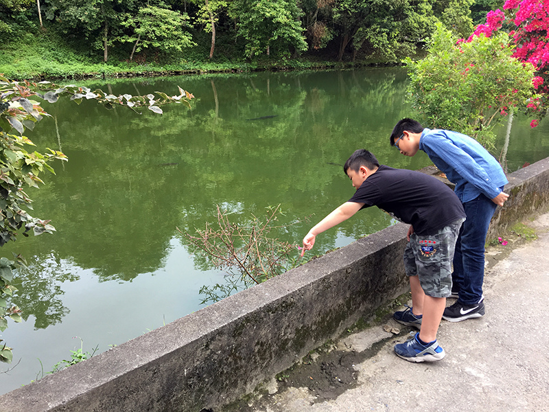 2017-04-26回花蓮027.jpg 2017-04-26回花蓮027.jpg
