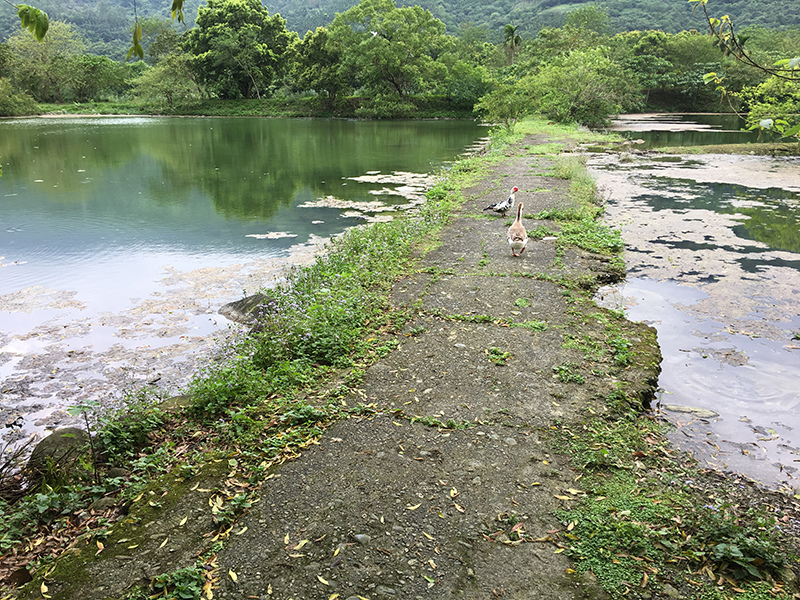 2017-04-26回花蓮030.jpg 2017-04-26回花蓮030.jpg