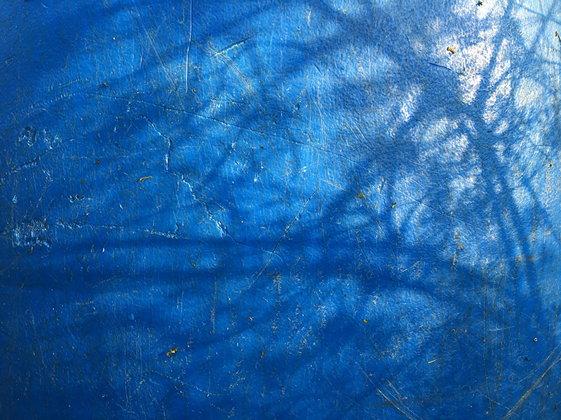 2017-04-29-除草013.jpg 2017-04-29-除草013.jpg