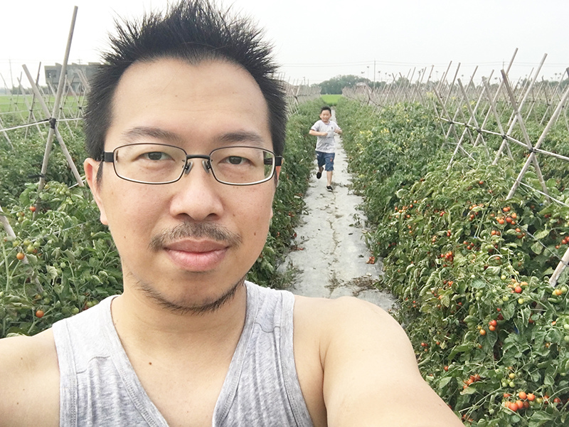 2017-05-06採番茄031.jpg 2017-05-06採番茄031.jpg