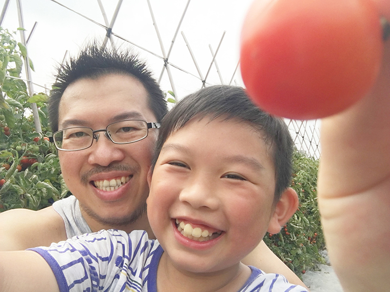 2017-05-06採番茄036.jpg 2017-05-06採番茄036.jpg