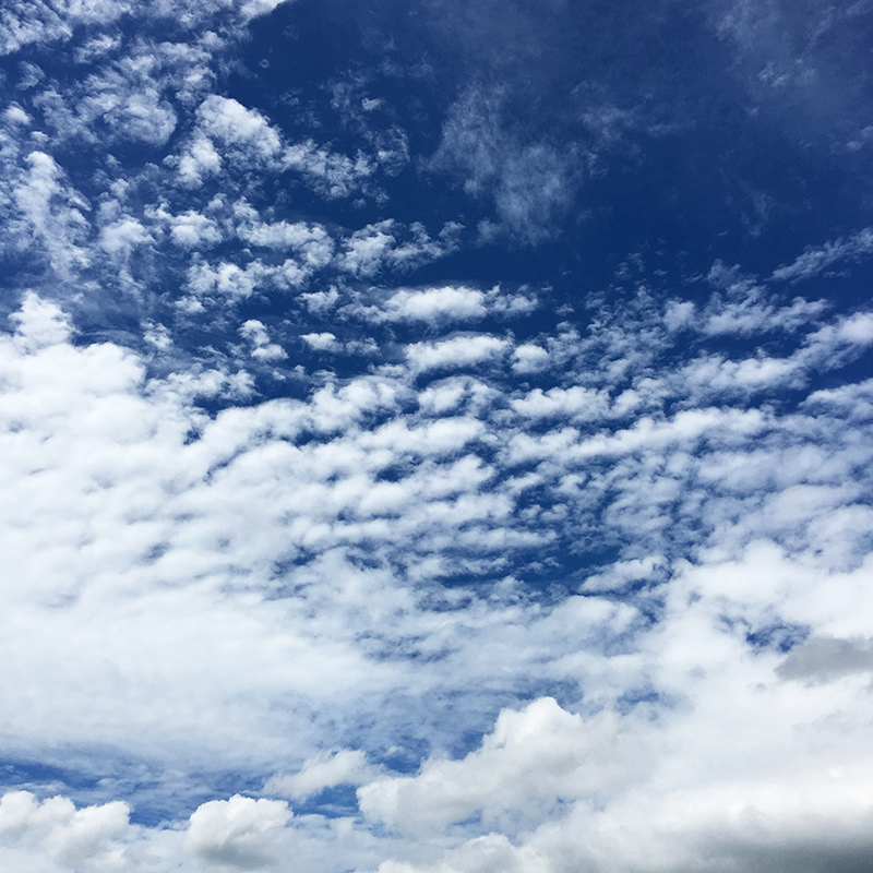 2017-05-20除草014.jpg 2017-05-20除草014.jpg