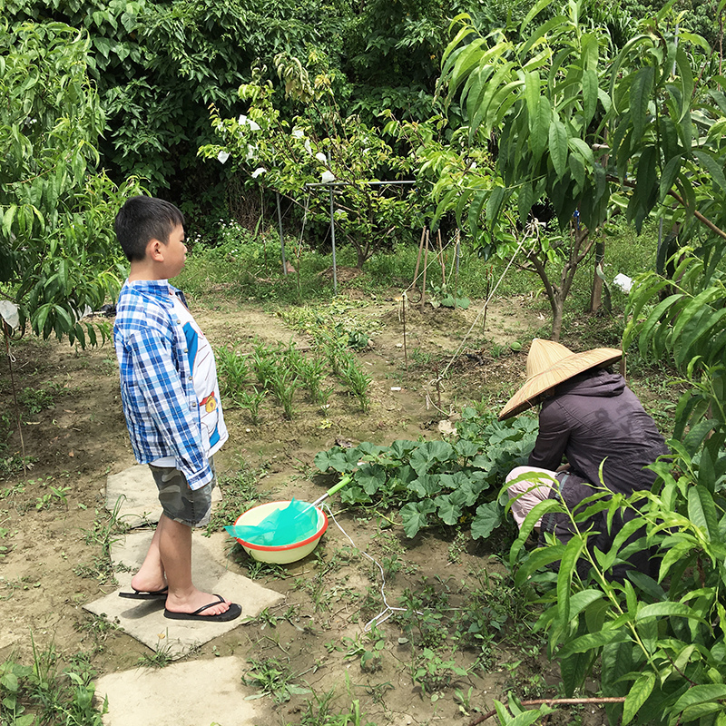 2017-05-20除草016.jpg 2017-05-20除草016.jpg
