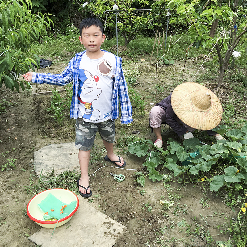 2017-05-20除草026.jpg 2017-05-20除草026.jpg