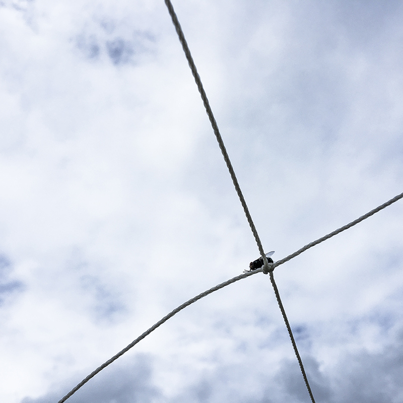 2017-05-20除草031.jpg 2017-05-20除草031.jpg