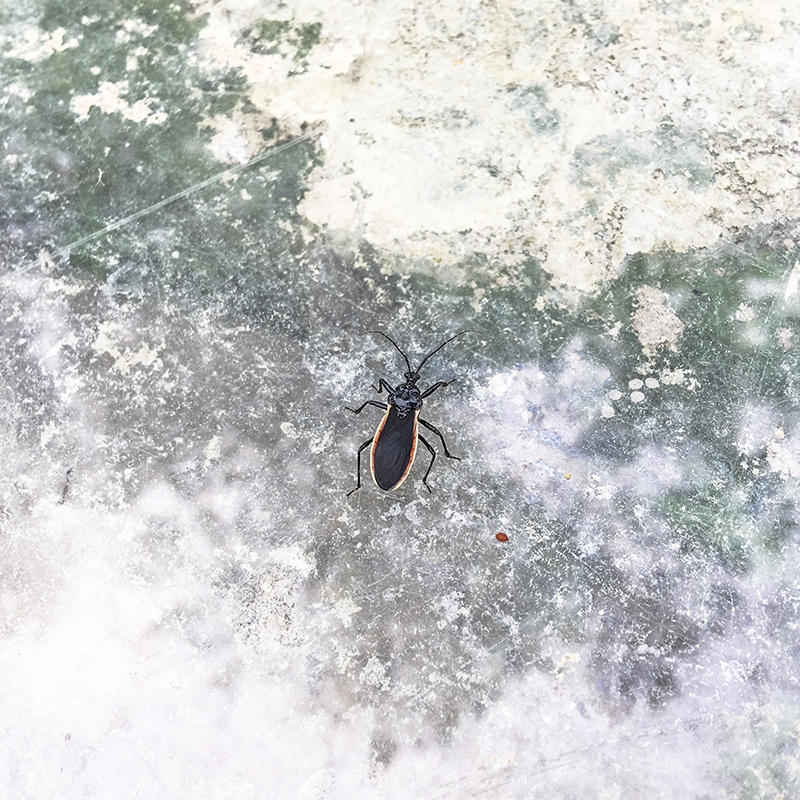 2017-05-20除草033.jpg 2017-05-20除草033.jpg