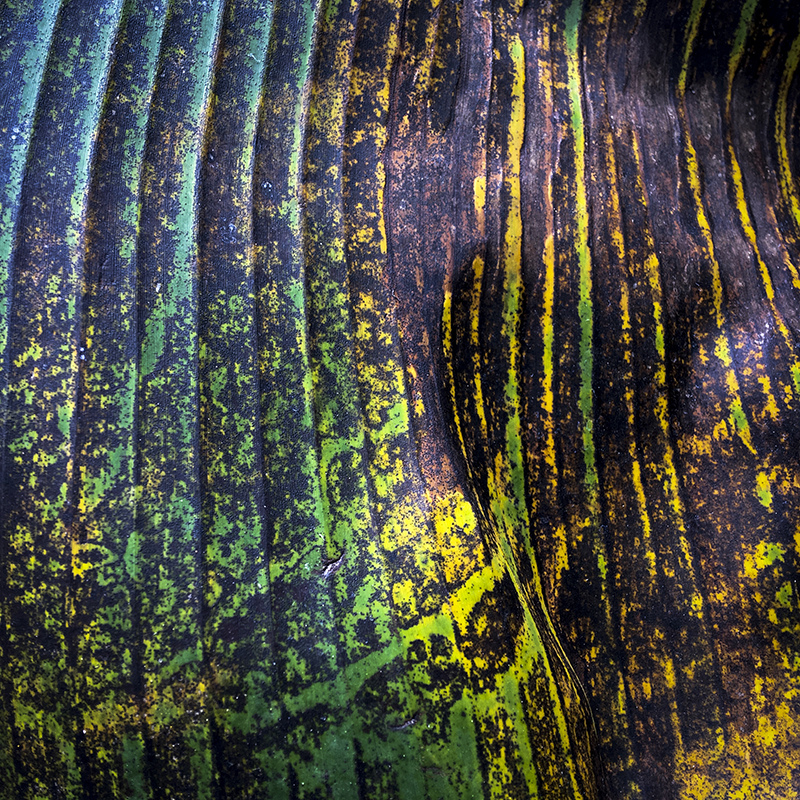 2017-05-27除草008.jpg 2017-05-27除草008.jpg