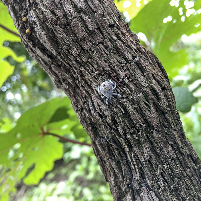 2017-05-27除草013.jpg 2017-05-27除草013.jpg
