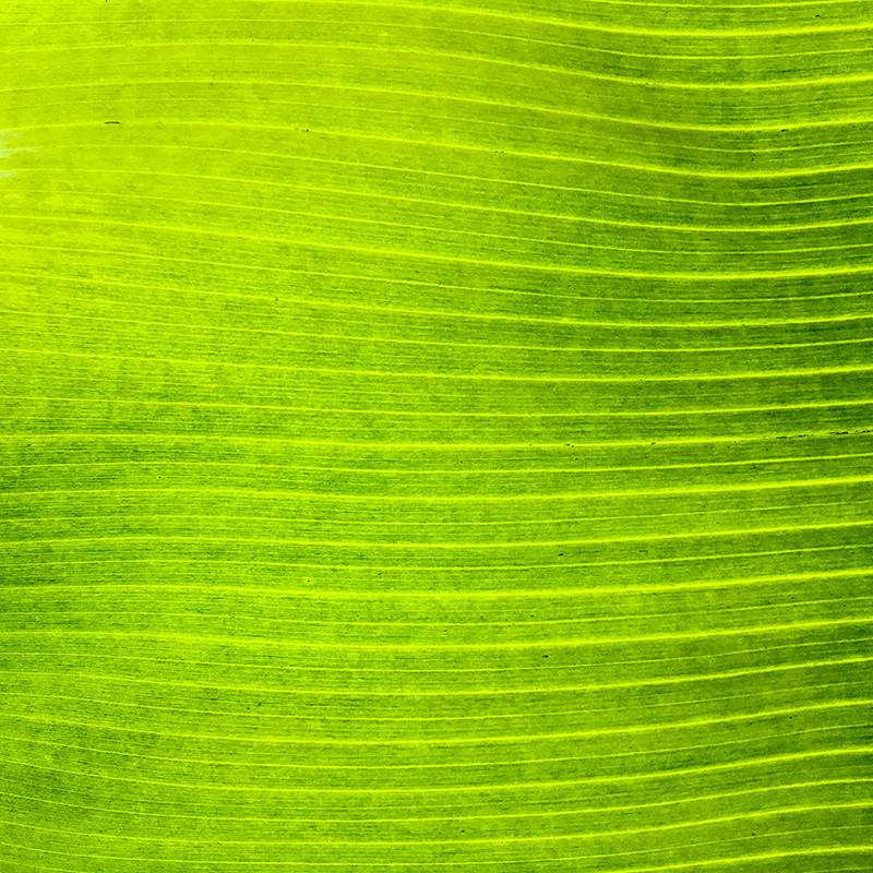 2017-05-27除草020.jpg 2017-05-27除草020.jpg