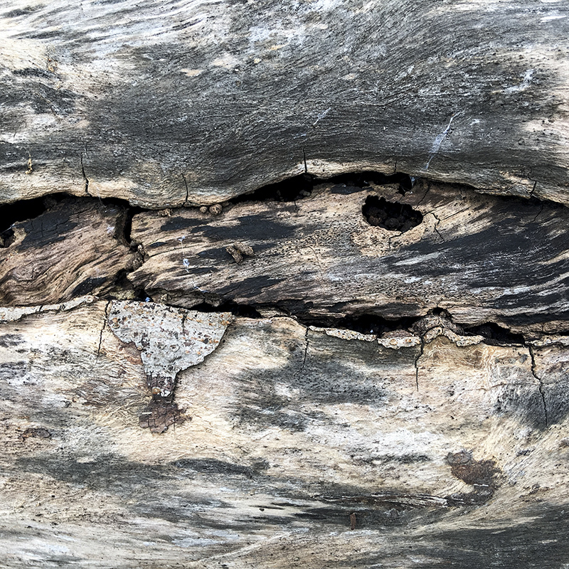 2017-05-27除草037.jpg 2017-05-27除草037.jpg