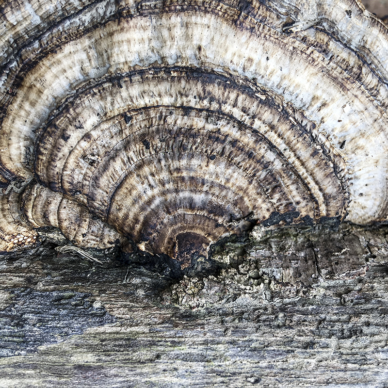 2017-05-27除草038.jpg 2017-05-27除草038.jpg