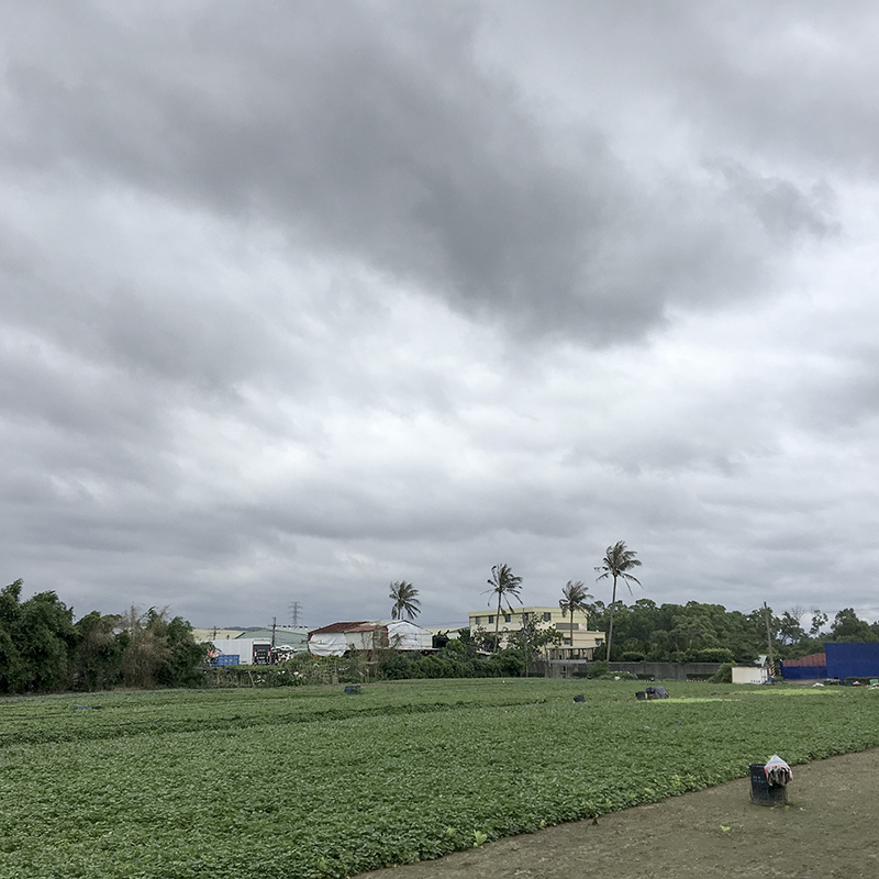 2017-05-27除草046.jpg 2017-05-27除草046.jpg