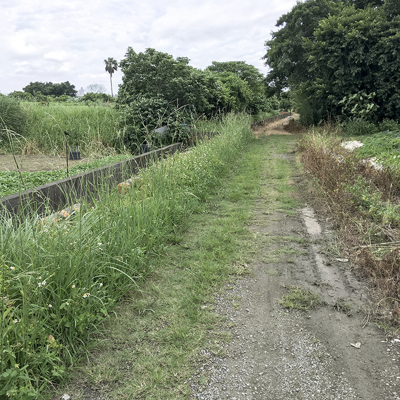 2017-05-27除草044.jpg 2017-05-27除草044.jpg