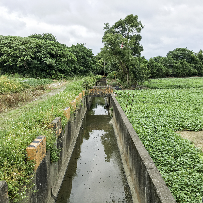 2017-05-27除草047.jpg 2017-05-27除草047.jpg