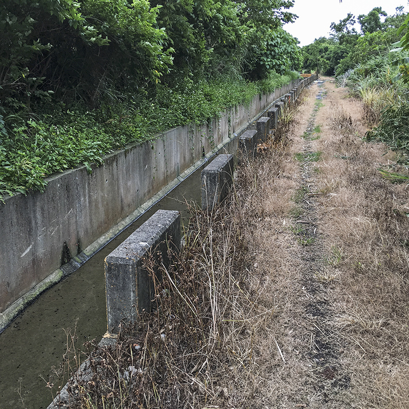 2017-05-27除草048.jpg 2017-05-27除草048.jpg