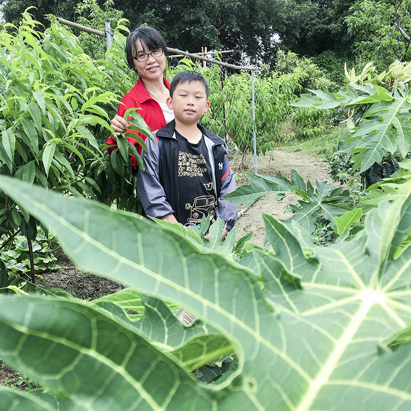2017-05-27除草057.jpg 2017-05-27除草057.jpg