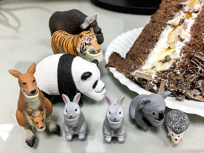 2017-06-05生日008.jpg 2017-06-05生日008.jpg