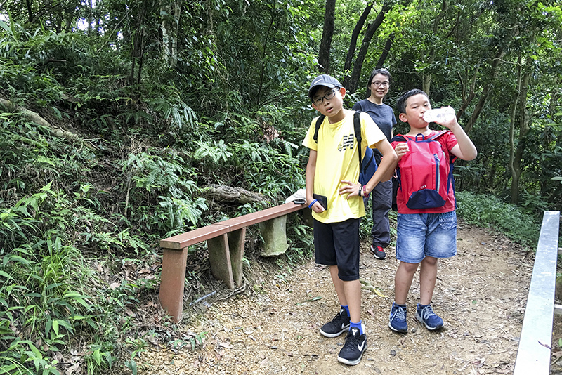 2017-06-116s大崙山007.jpg 2017-06-116s大崙山007.jpg